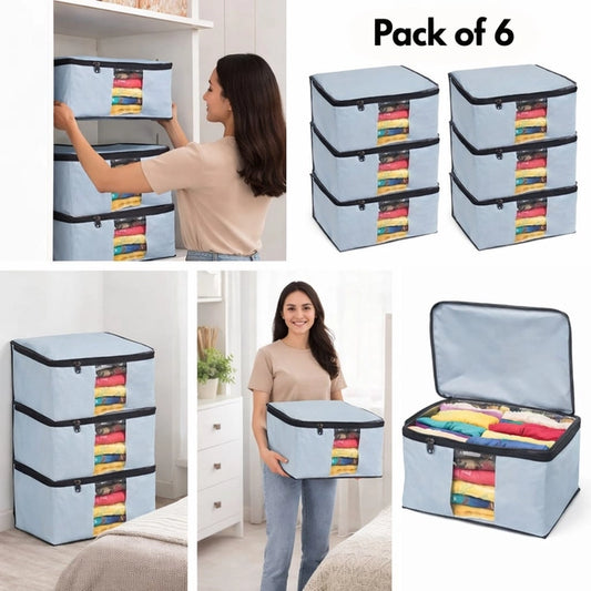 Foldable Saree Cover/Cloth Storage Bag(Pack of 6)